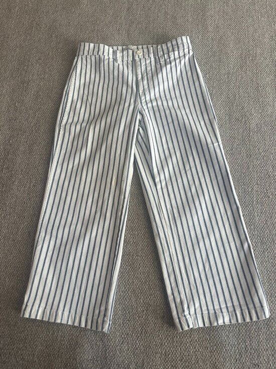 J. Crew Denim - J. Crew Women's Striped Pants, Size 28 Petite